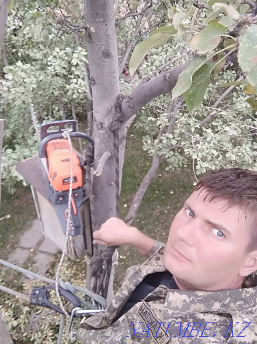 Cut trees of any complexity. Master for an hour Almaty - photo 1