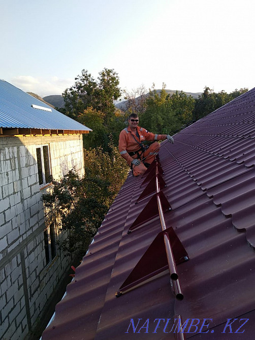 Cut trees of any complexity. Master for an hour Almaty - photo 3