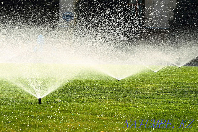 Autowatering from HUNTER irrigation system professionals. Oral - photo 2