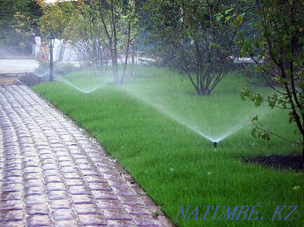 Autowatering from HUNTER irrigation system professionals. Oral - photo 4