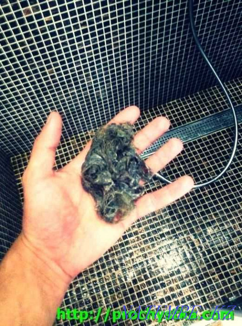 Sewer Cleaner Plumber Cleaning Cleaning Pipes Kitchen Blockages 24/7 Shymkent - photo 1