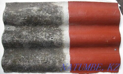 Покраска оцинкованной крыши Алматы - изображение 6