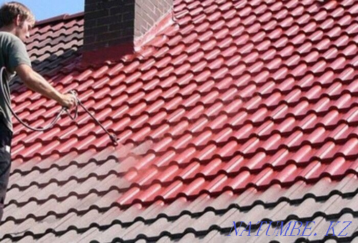 Покраска оцинкованной крыши Алматы - изображение 5