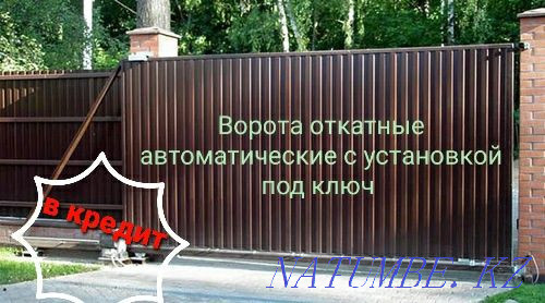 Manufacture and installation of outdoor sliding gates and garage doors Astana - photo 1