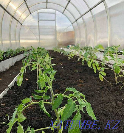 Greenhouses galvanized for farmers and summer residents Almaty - photo 2