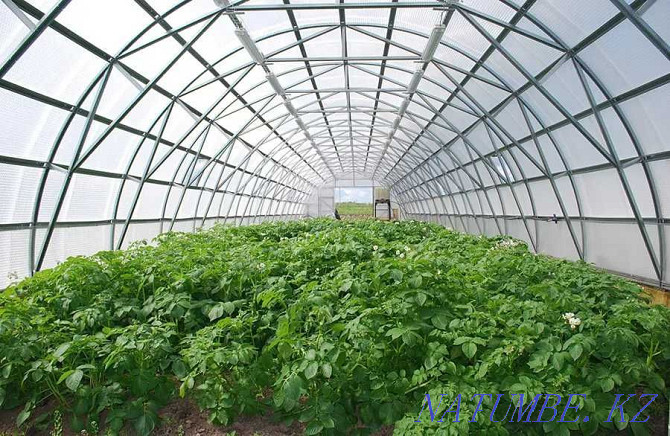 Industrial greenhouse Farmer-7.5 Almaty - photo 3