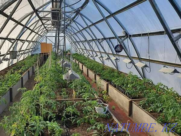 Industrial greenhouses with delivery all over Kazakhstan Astana - photo 1