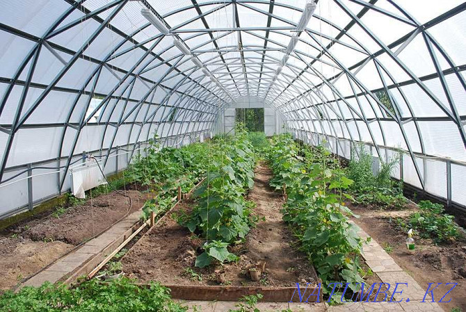 Industrial greenhouses with delivery all over Kazakhstan Astana - photo 2