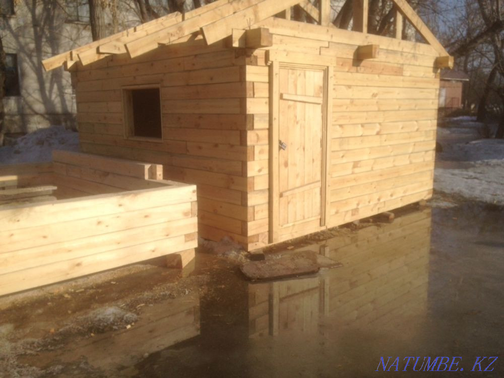 Бардан ванналар  отбасы  - изображение 4