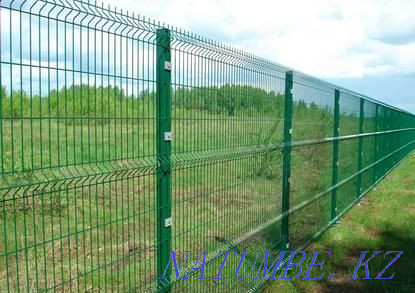 Fences (Fences 3D,), decorative profiled sheet for fences Shymkent - photo 8