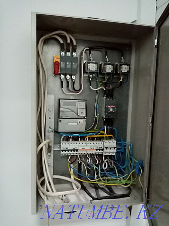 Electrician Services! There is CASPIAN RED! Oral - photo 4