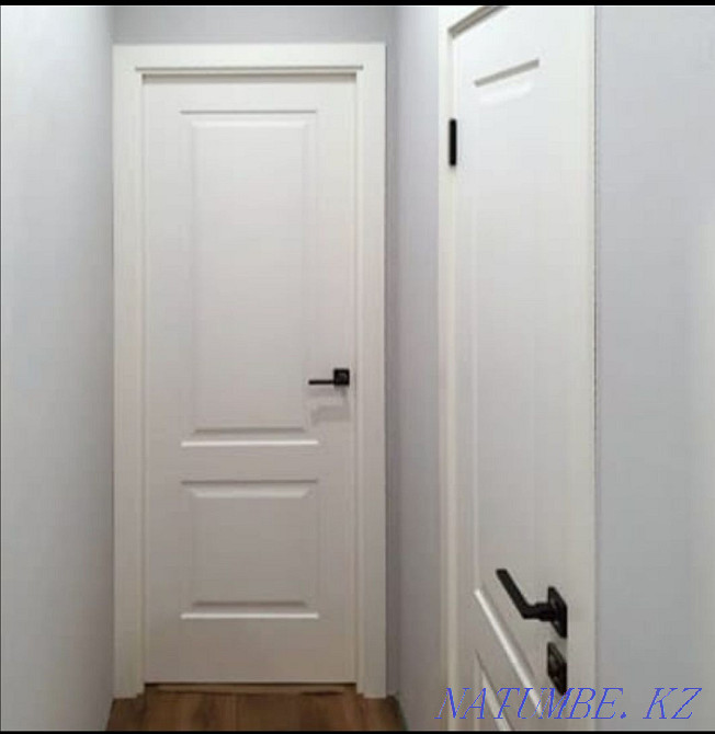 Установка дверей Петропавловск - изображение 4