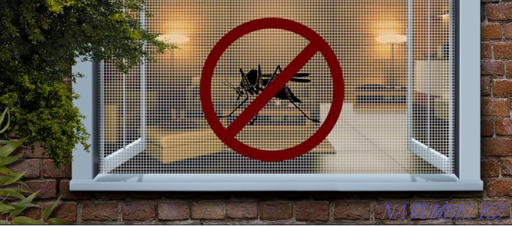 Москит торы  Астана - изображение 1