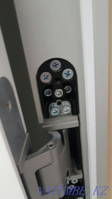 Кәсіби есік орнату  Астана - изображение 2