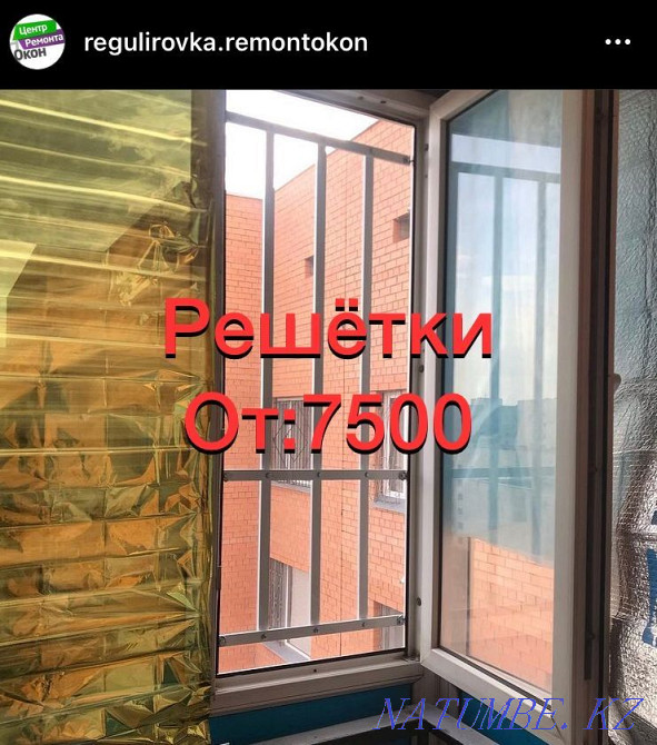 Lattices on windows, grids, lattice, lattice, mosquito net, mosquito, midge Astana - photo 1