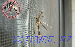 Mosquito nets Child protection Screens Slopes Windows Balconies Balqash - photo 2