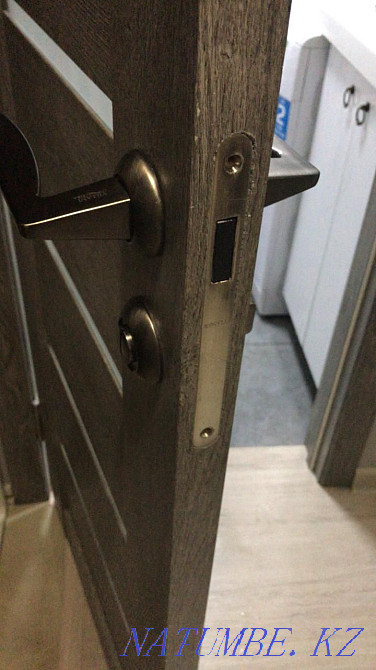 Replacing the core Replacing the lock Installing the lock Repairing the handles Opening Astana - photo 5