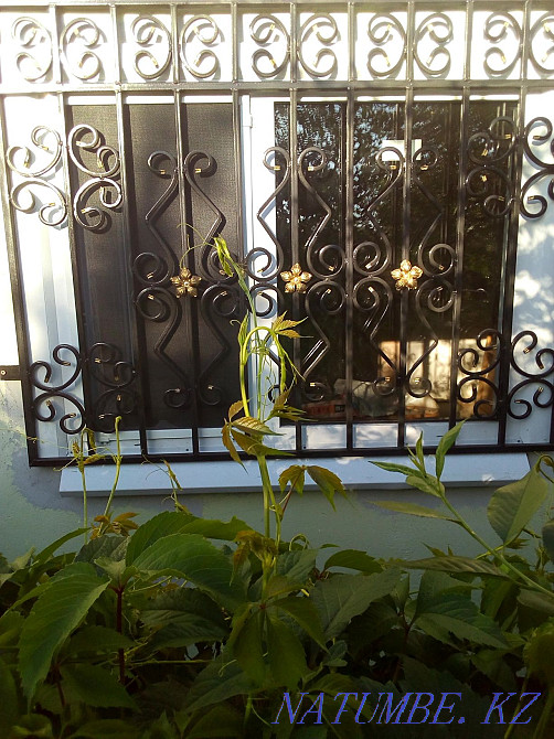 Lattices, gates, Fences, awnings Rudnyy - photo 1