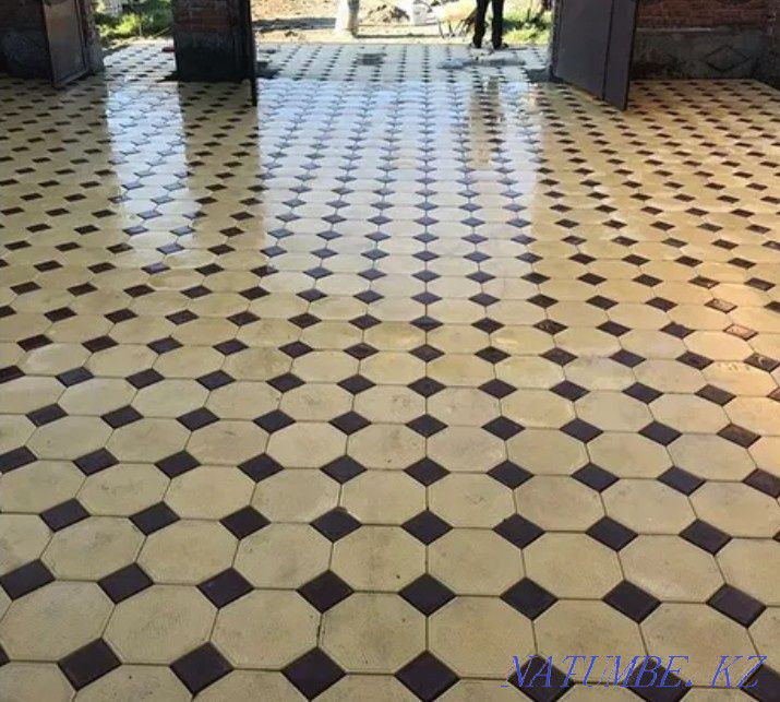 Laying burchatka Karagandy - photo 1