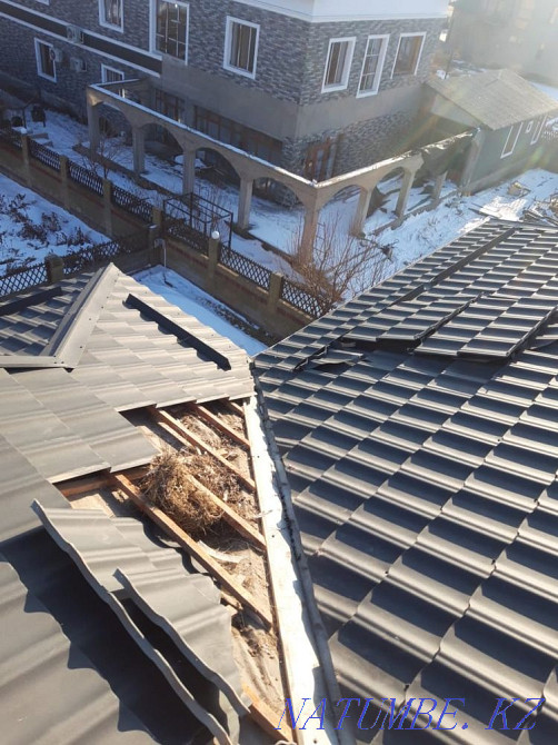 Roofing & Roof Repair Leak Repair Taraz - photo 7