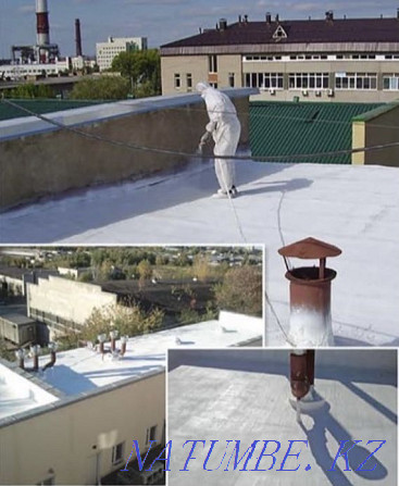 Roof repair. Roof of any shape. Liquid waterproofing Astana - photo 4