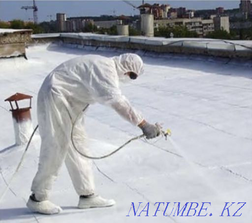 Roof repair. Roof of any shape. Liquid waterproofing Astana - photo 3