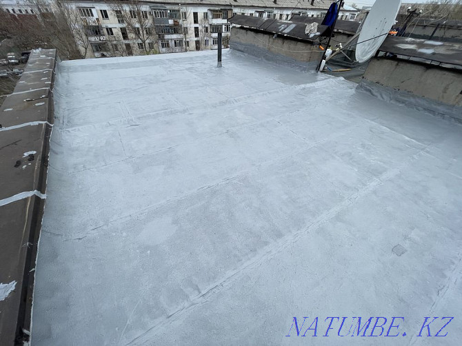 Roof repair. Roof of any shape. Liquid waterproofing Astana - photo 1