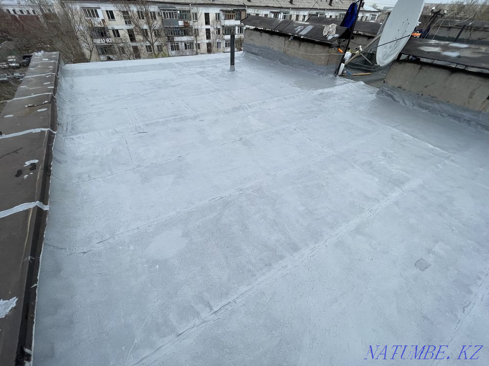 Roof repair. Roof of any shape. Liquid waterproofing Astana - photo 1