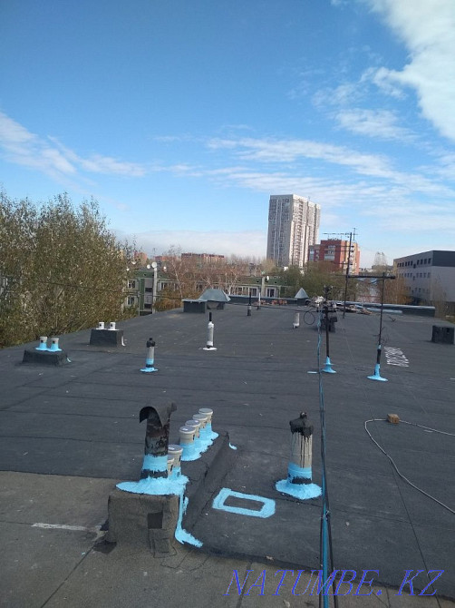 Roofing roofers Astana - photo 3