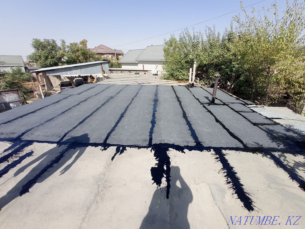 Кровля крыш любого вида Шымкент - изображение 5
