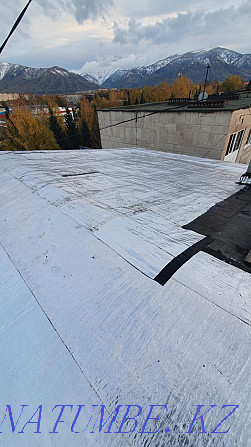 Roofing of roofs with rizolin, profiled sheet, ridder, uka Ust-Kamenogorsk - photo 5