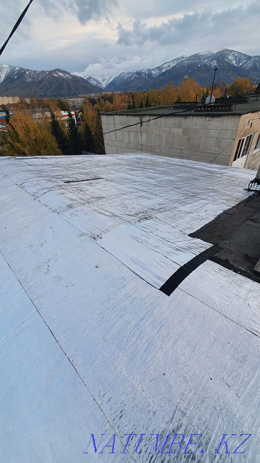 Roofing of roofs with rizolin, profiled sheet, ridder, uka Ust-Kamenogorsk - photo 5