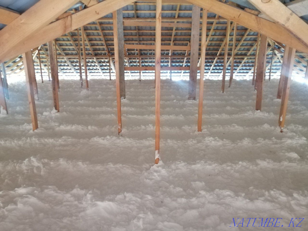 ПЕНОИЗОЛ. Утепление дома крыши и стен Пеноизолом. Талдыкорган - изображение 2