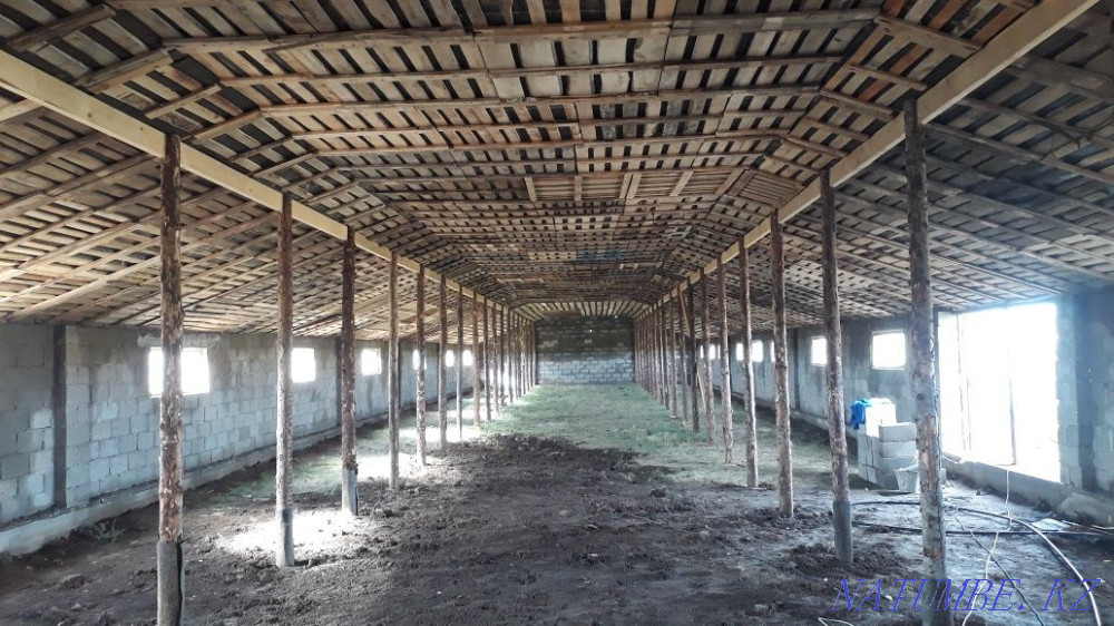 Roofing works, construction of houses from A to Z Oral - photo 4