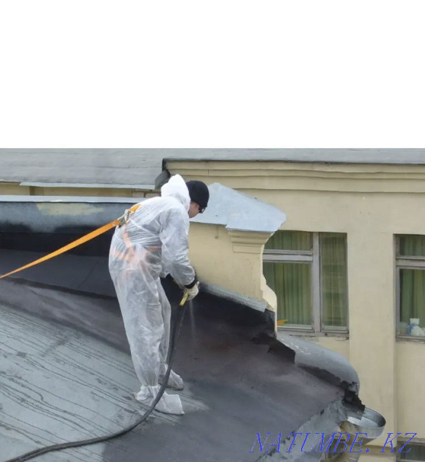 Liquid rubber Astana - photo 7