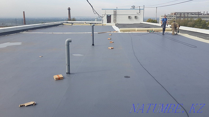 Roof repair . Roofing Shahtinsk - photo 2