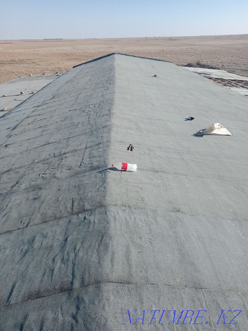 ?Roof ??Rukan? Taraz - photo 4