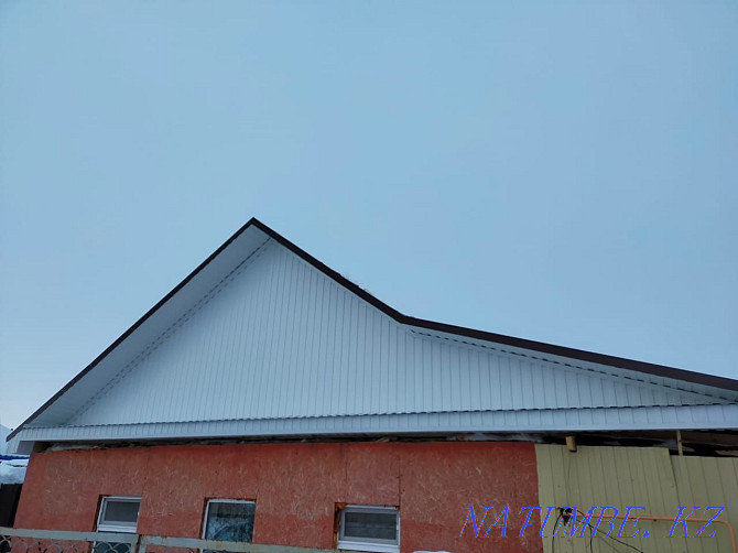 Roof. Facade of buildings and houses Kostanay - photo 8