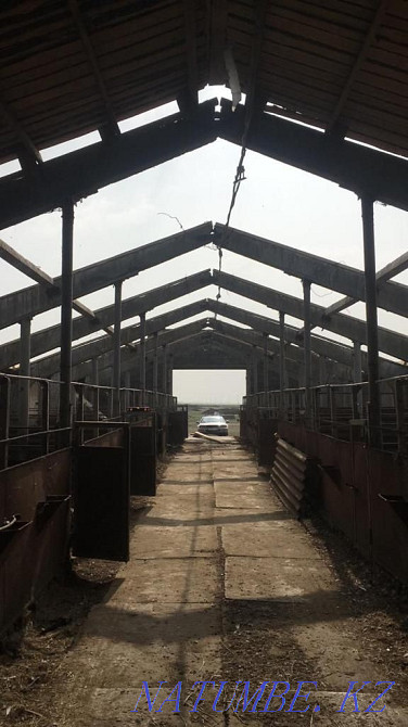 Кровельные работы хорошего качества! Костанай - изображение 3