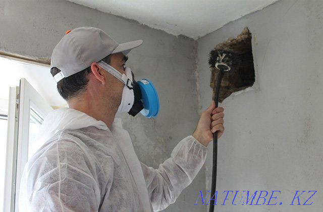 Чистка вентиляции, прочистка отдушина, вентиляция, вытяжка, почистить Петропавловск - изображение 1