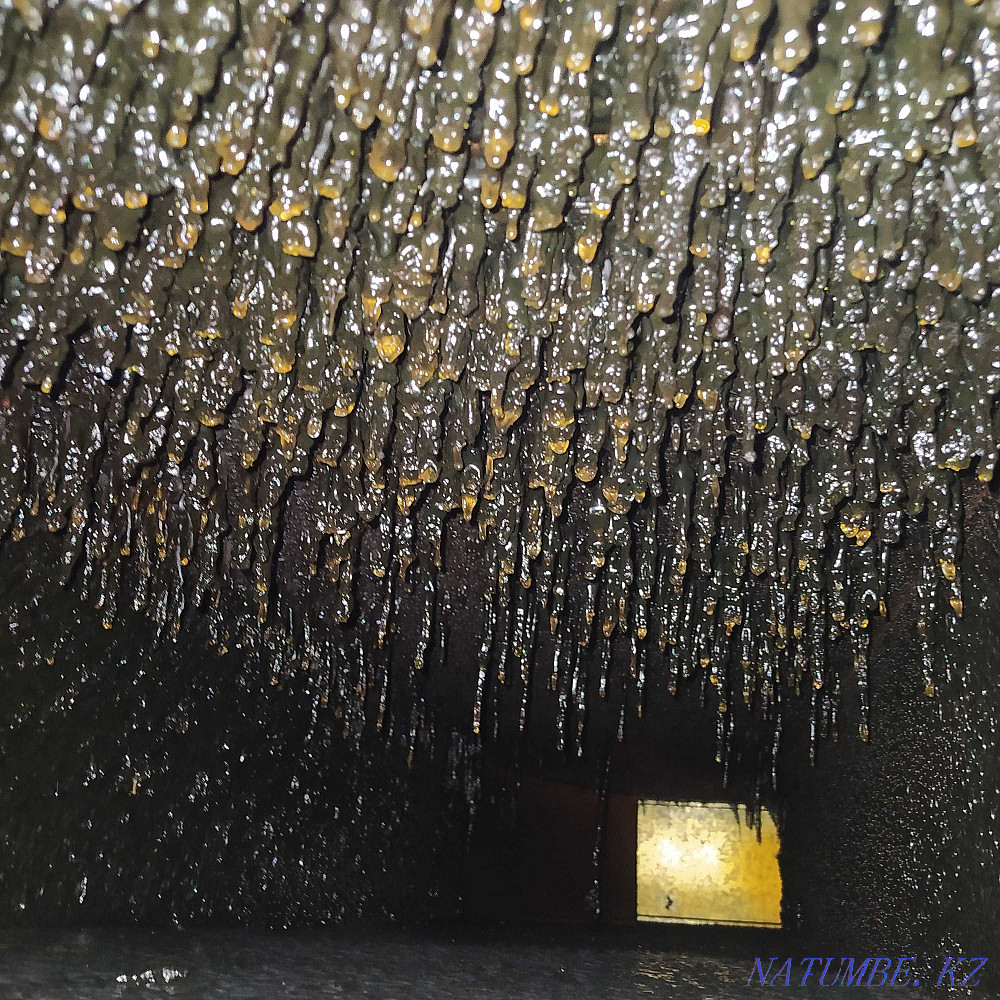 ЧИСТКА от ЖИРА вентиляции в точках ОБЩЕПИТА Астана - изображение 4