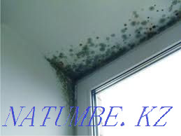 Тазалау, желдетуді күту.  Петропавл - изображение 2