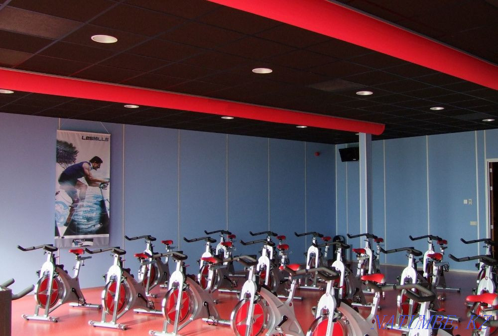 Ventilation of the gym, fitness club, sports and recreation center Oral - photo 2