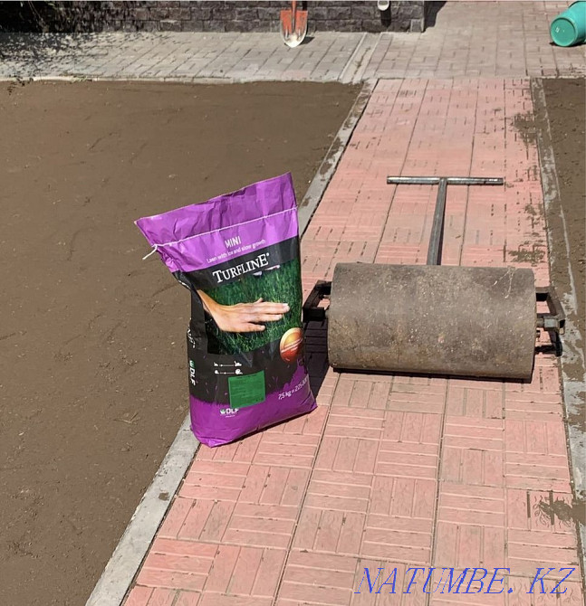 Благоустройства и озеленение. Астана - изображение 5