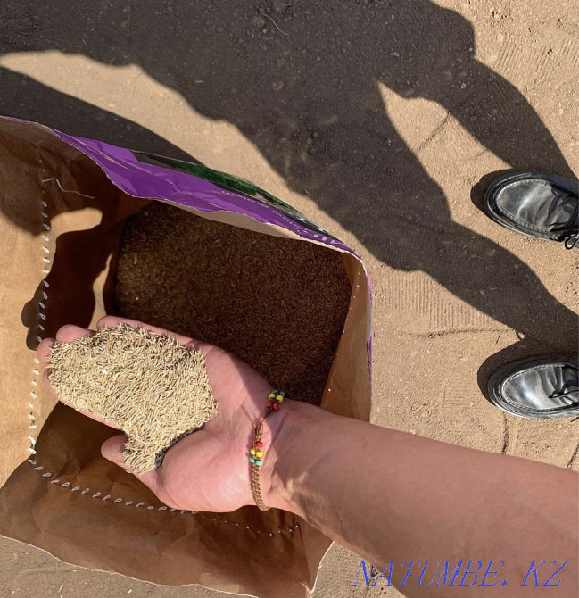 Благоустройства и озеленение. Астана - изображение 7