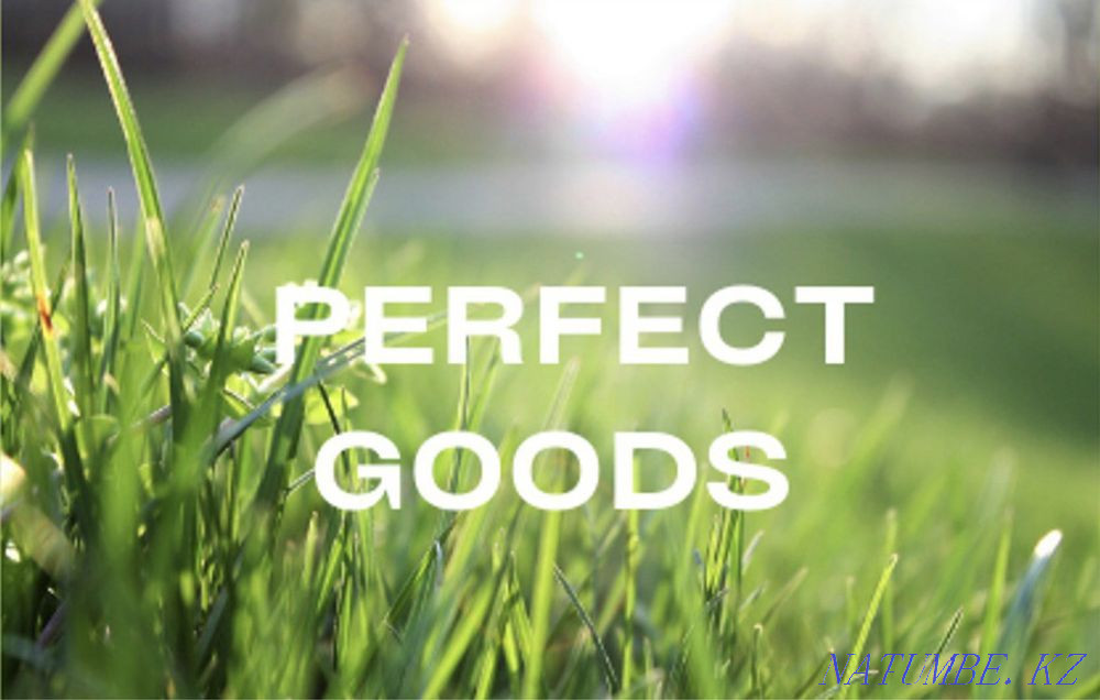 Благоустройства и озеленение. Астана - изображение 1