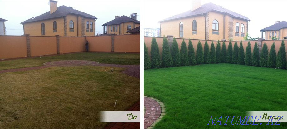 Озеленение, посадка деревьев, кустарников, уборка мусора Астана - изображение 2