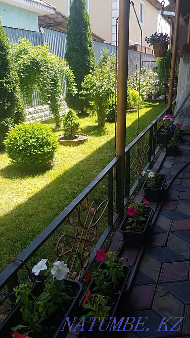 Ландшафттық дизайн  - изображение 1