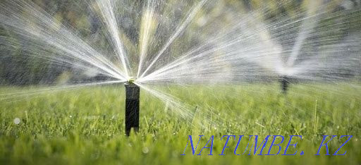 Бір шаршы метрге 500 тн-дан көгал төсеу.Гонды автоматты суару.  Алматы - изображение 1