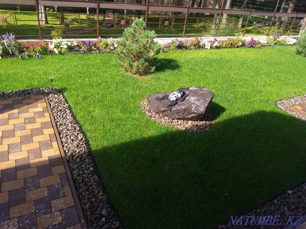 Lawn sowing. Fertilizers. Planting and planting trees. Almaty - photo 2